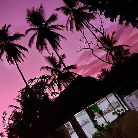 Wine Tree Garden Guesthouse ميريسا المظهر الخارجي الصورة
