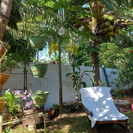 Wine Tree Garden Guesthouse ميريسا المظهر الخارجي الصورة