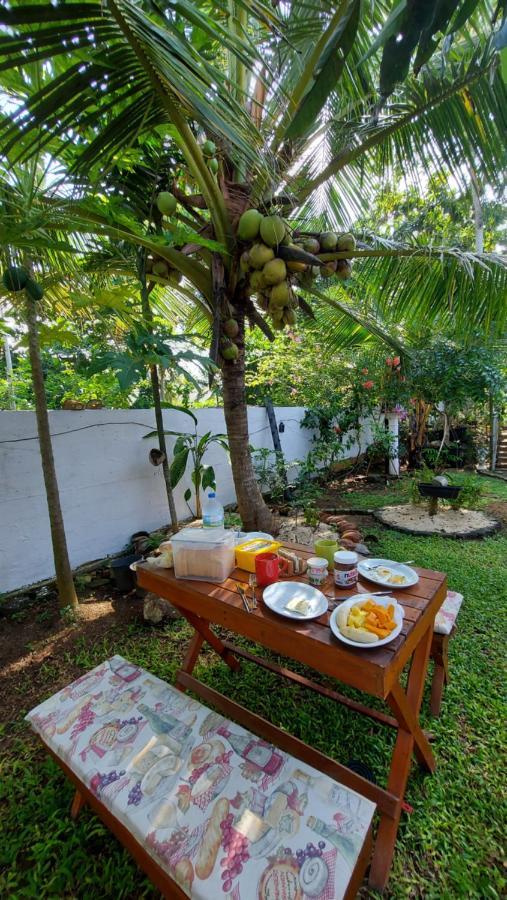 Wine Tree Garden Guesthouse ميريسا المظهر الخارجي الصورة