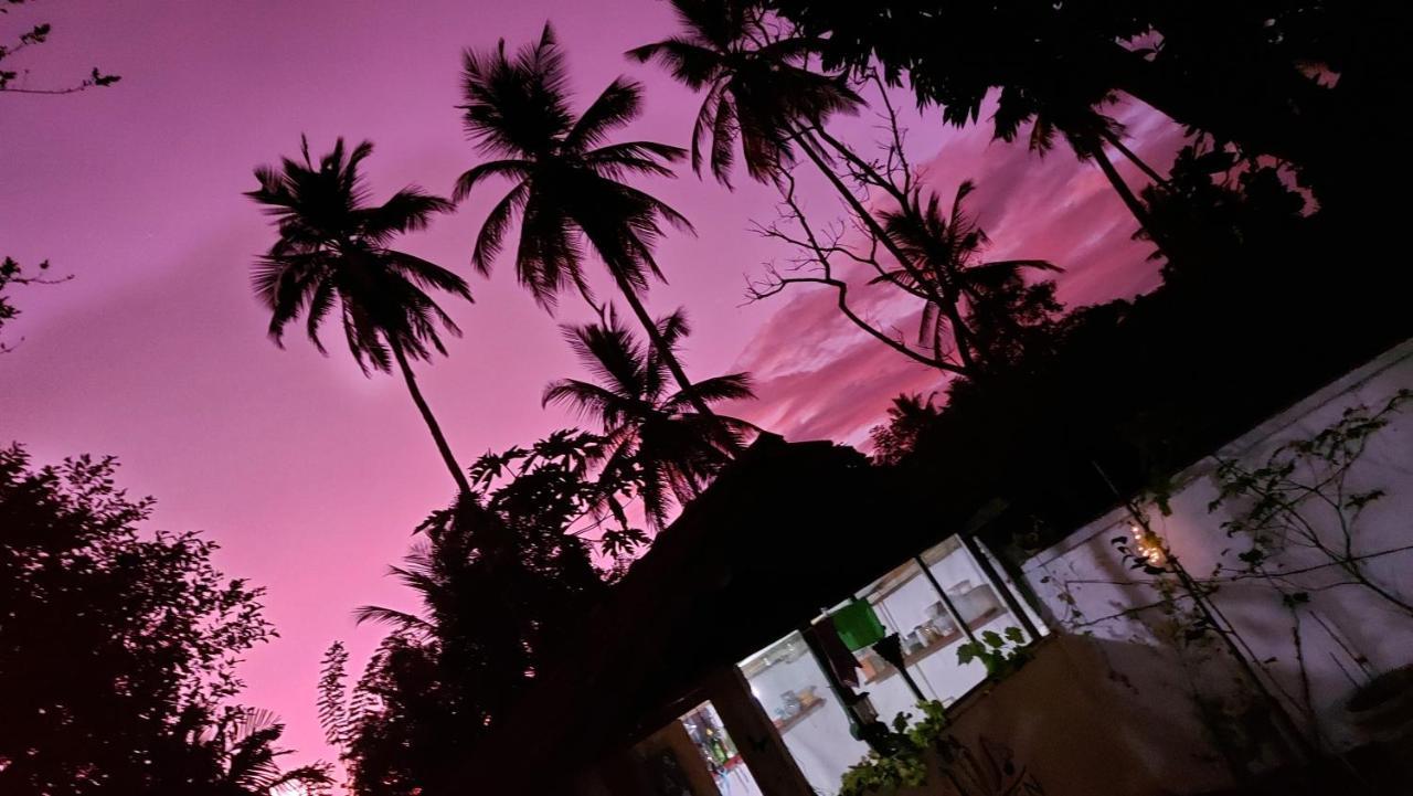 Wine Tree Garden Guesthouse ميريسا المظهر الخارجي الصورة