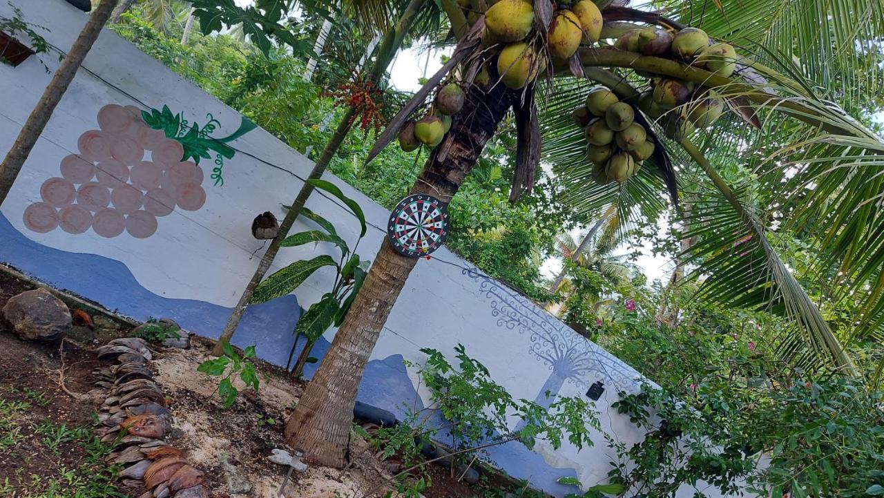 Wine Tree Garden Guesthouse ميريسا المظهر الخارجي الصورة