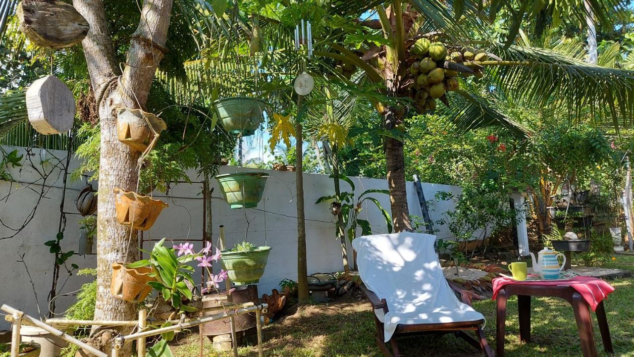 Wine Tree Garden Guesthouse ميريسا المظهر الخارجي الصورة