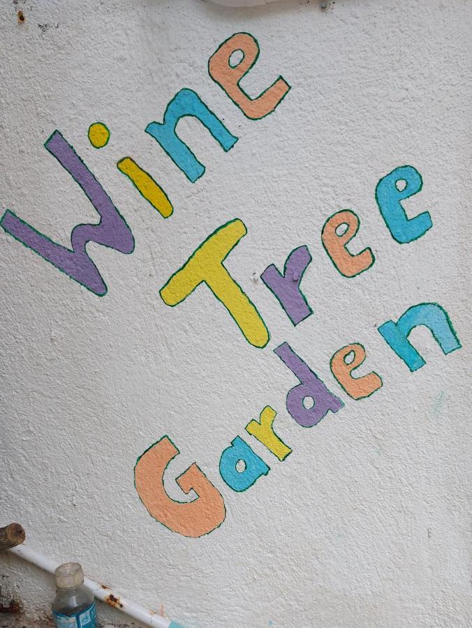 Wine Tree Garden Guesthouse ميريسا المظهر الخارجي الصورة
