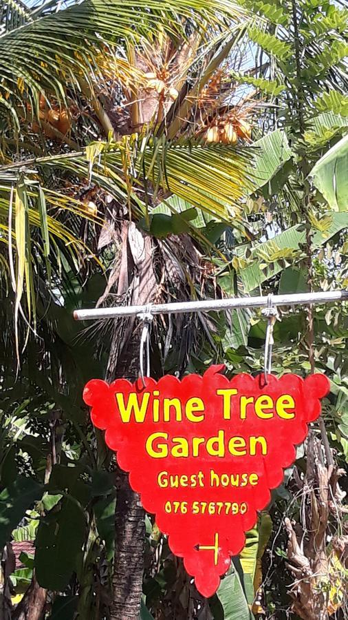 Wine Tree Garden Guesthouse ميريسا المظهر الخارجي الصورة