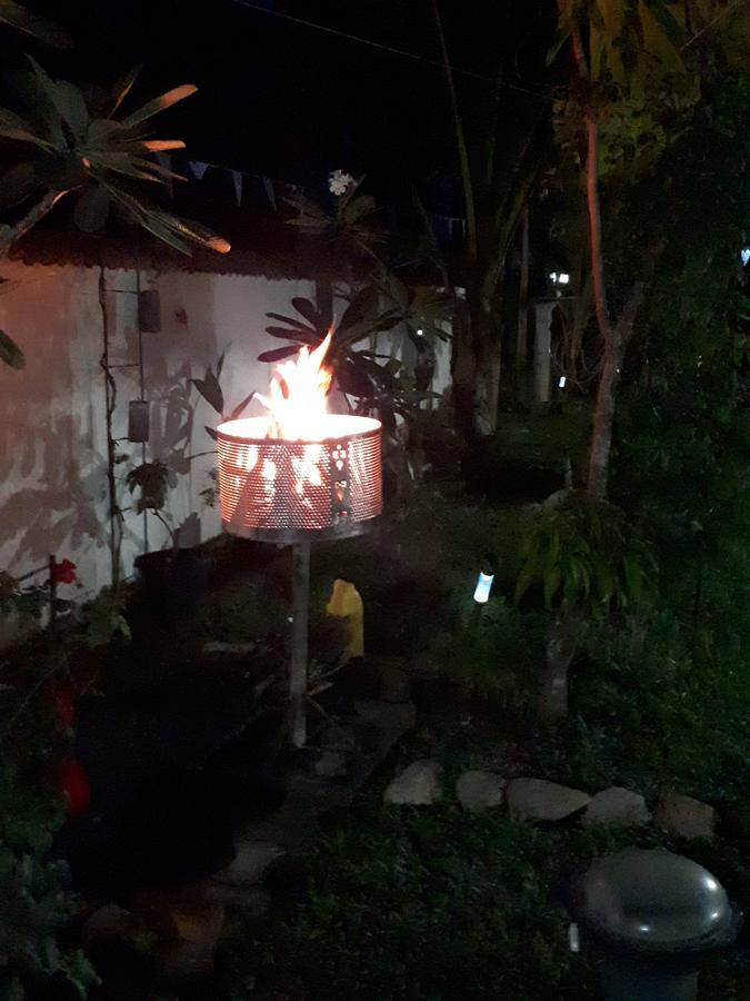 Wine Tree Garden Guesthouse ميريسا المظهر الخارجي الصورة