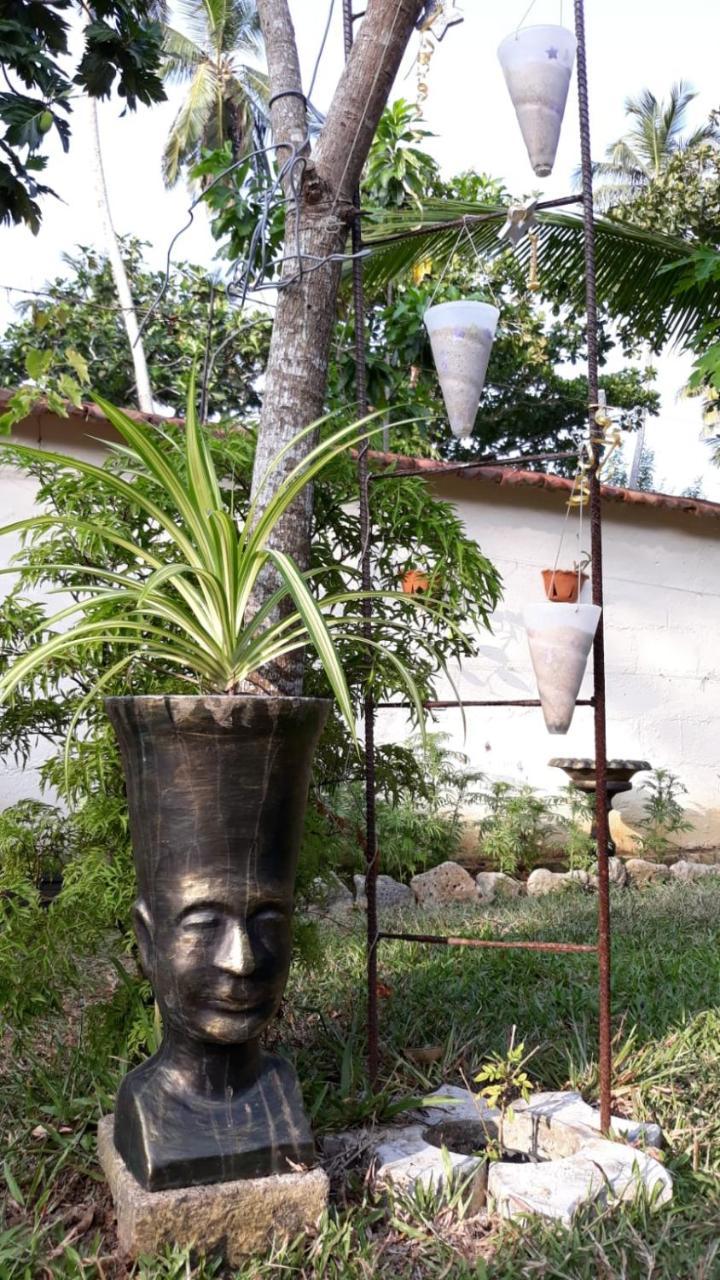 Wine Tree Garden Guesthouse ميريسا المظهر الخارجي الصورة