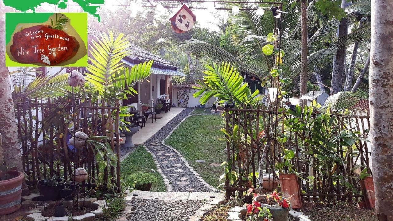 Wine Tree Garden Guesthouse ميريسا المظهر الخارجي الصورة
